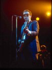 Elvis Costello