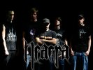 Neaera