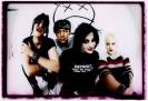 The Distillers