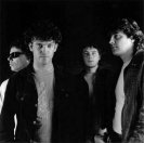 The Lime Spiders