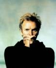 Sting