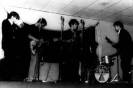 13th Floor Elevators