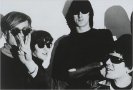 The Velvet Underground