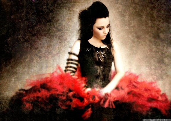 Amy Lee