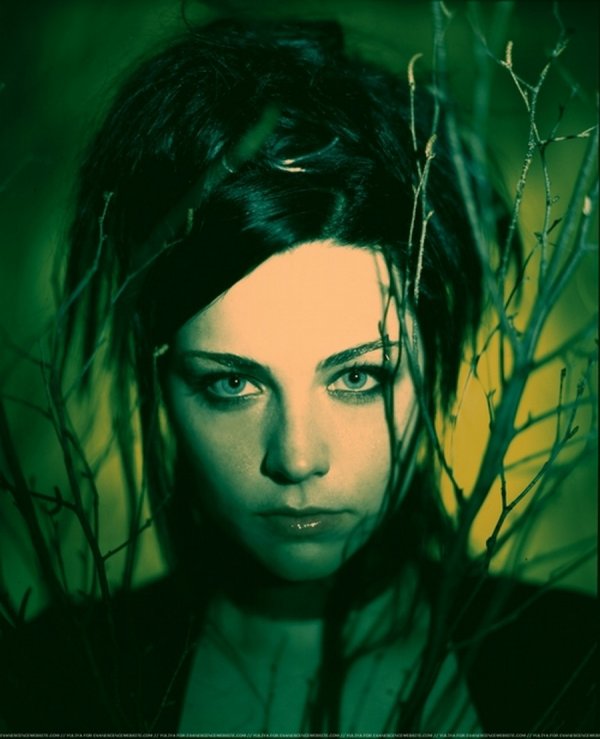 Amy Lee