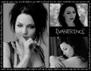 Amy Lee