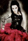 Amy Lee