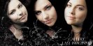 Amy Lee