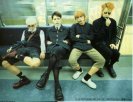 Mucc