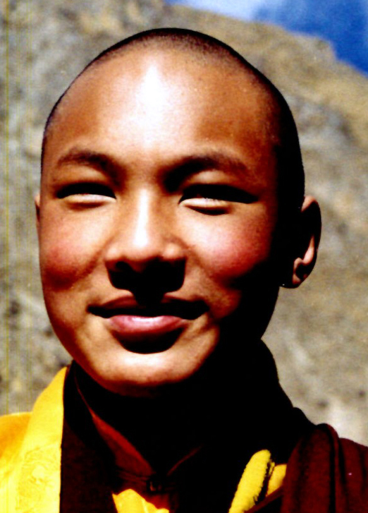 His Holiness the Seventeenth Gyalwa Karmapa, Ogyen Trinley Dorje