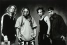 Soulfly