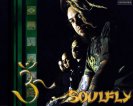 Soulfly