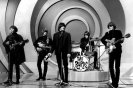 Byrds