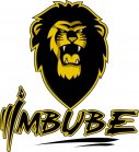 Imbube