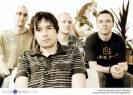 The Pineapple Thief