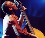 Avishai Cohen