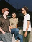 Cool Hipnoise
