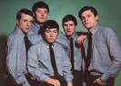 The Animals