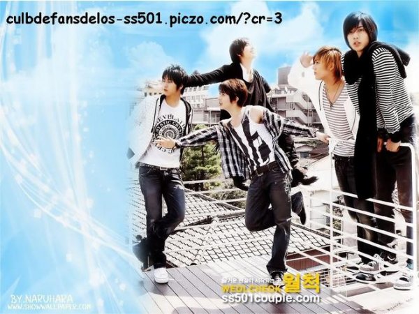 SS 501