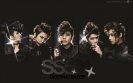 SS 501