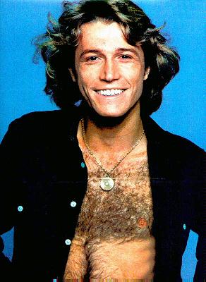 Andy Gibb