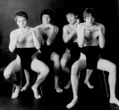 Aardvarks, The