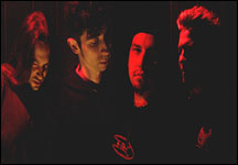 Acumen Nation
