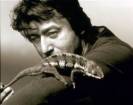 Alain Bashung