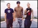 Blink 182 - Rare