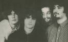The Seahorses