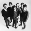 The Turtles