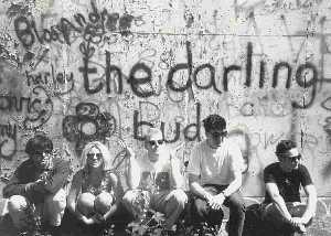 The Darling Buds