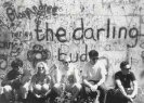 The Darling Buds