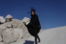 PJ Harvey