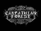 Carpathian Forest