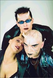 D-Devils