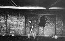 Joy Division