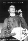 Joy Division