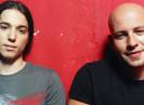 Infected Mushroom