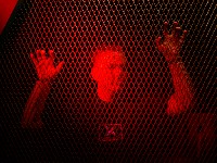xotox