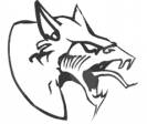 Neophyte