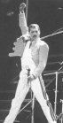 Freddie Mercury