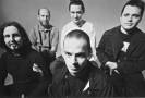 Mr. Bungle