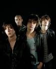 The Libertines