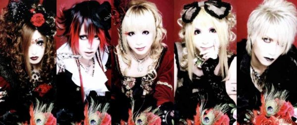 HIZAKI grace project