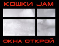 Кошки Jam