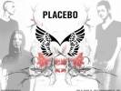 Placebo