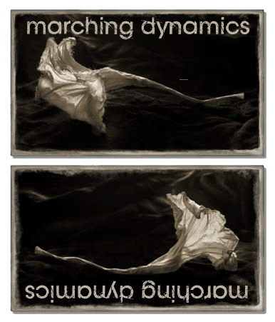 Marching Dynamics