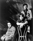 The Sandpipers
